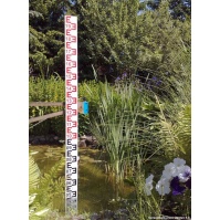 Water Level Staff Gauge (1mb)